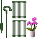 Suporte de Plantas- Mais durabilidade e Beleza [PAGUE 10 LEVE 20]