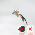 Varinha com bird para gato